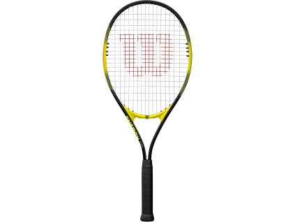 61NwDHt8ghL. AC SL1500