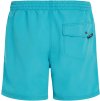 oneill vert 16 swim shorts 4