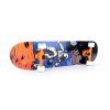 explorate skateboard 5
