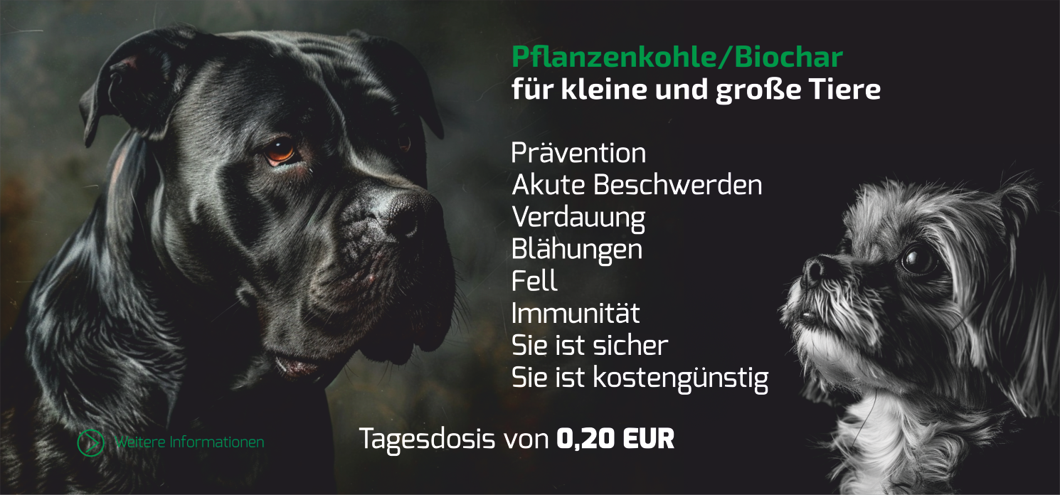 Pro aktivní život zvířat