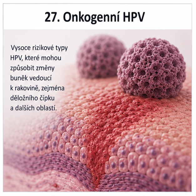 Onkogenní HPV