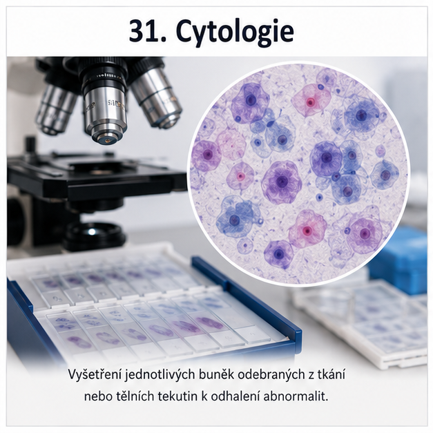 Cytologie