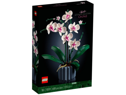 orchidea