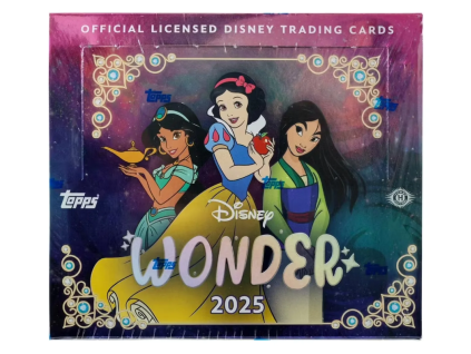 disneywonderhobbybox