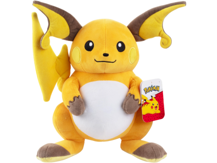 raichu30