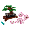 bonsai2