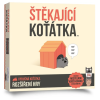 orrfolyásos macska