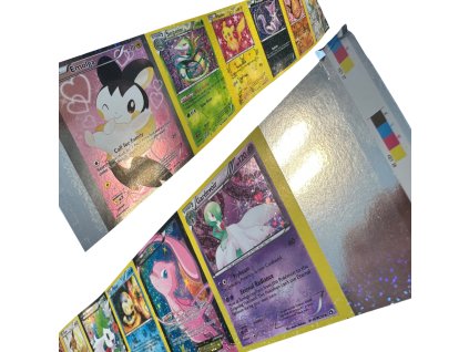 Pokémon TCG - Print Sheet Cut - Radiant Collection - Damaged