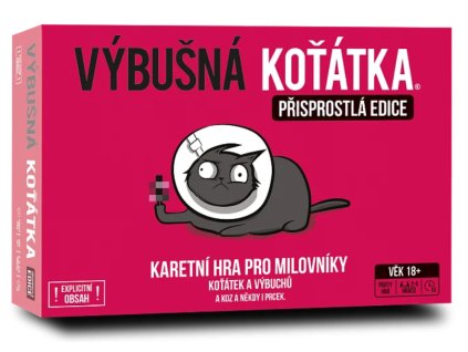 kotatka1