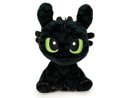 toothlessplus60