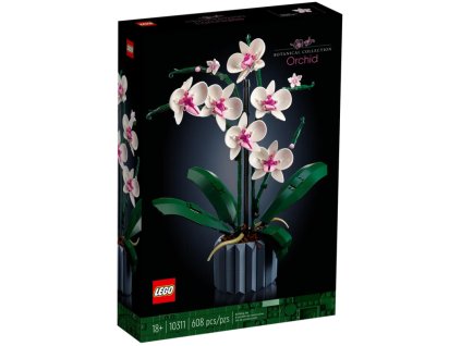 orchid
