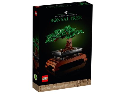 bonsai1