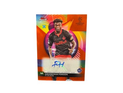 Untitled design (65)