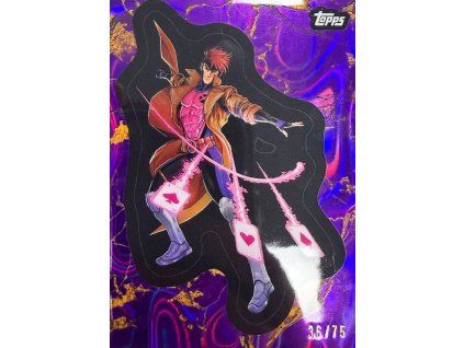 WhatsApp Image 2026 02 24 at 16.50.43