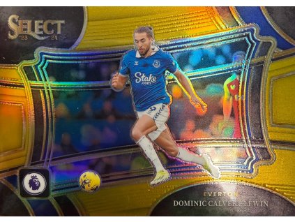 WhatsApp Image 2026 02 24 at 17.29.00