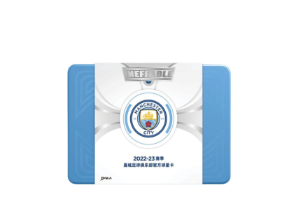 Upper Deck premier 2024 25 hockey hobby box (58)