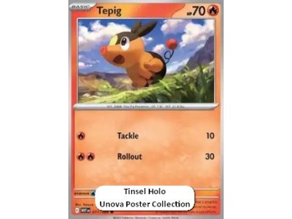Tepig (xWHT 011)