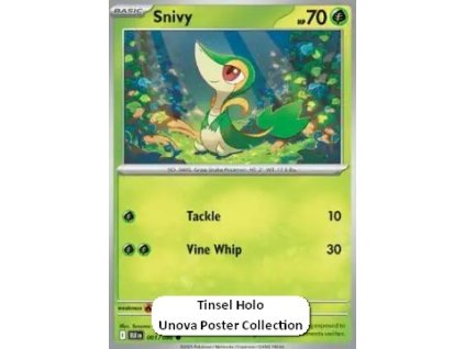 Snivy (xBLK 001)