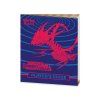 Pokemon TCG Sword & Shield Darkness Ablaze Elite Trainer Box (ETB) 04