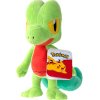 treecko20