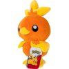 torchic20