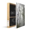 energy frame speaker forest2