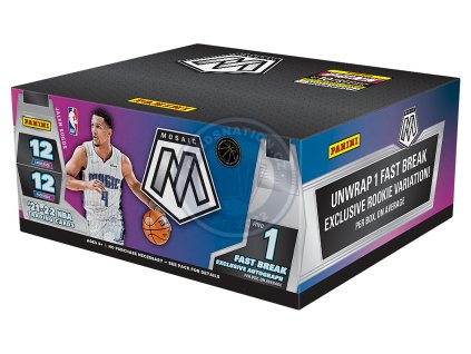 21 22 mosaic bk 032905d fast break