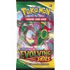 Evolving Skies Booster