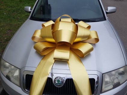 masle na auto automasle