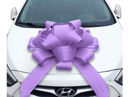 velka fialova masle na auto