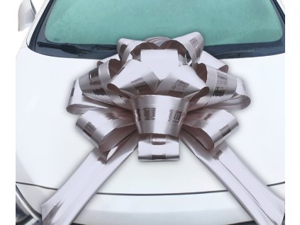 masle na auto stribrna