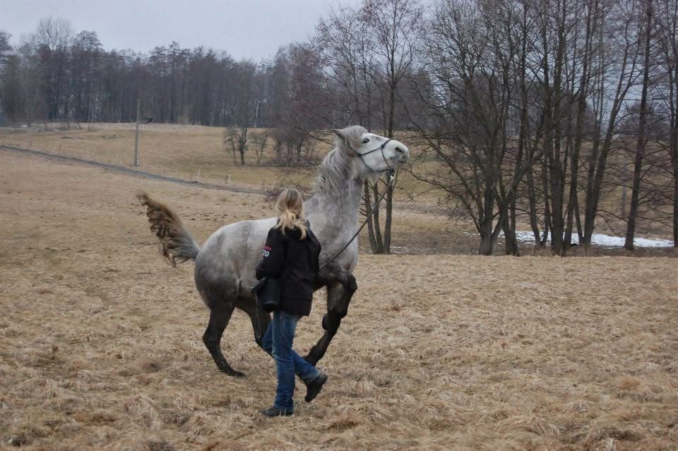🧣 Když na koně „přijde“ zima…