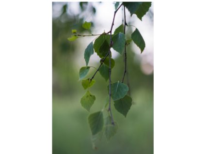 Návrh bez názvu (2)