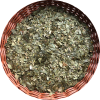 Ginkgo Biloba