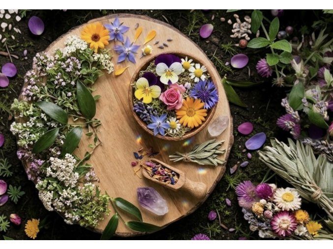 Magic Garden 2(1)