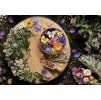 Magic Garden 2(1)