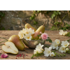 English pear