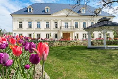 Zveme Vás na VIOLET SPA