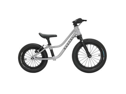 RASCAL Punk! Titanium