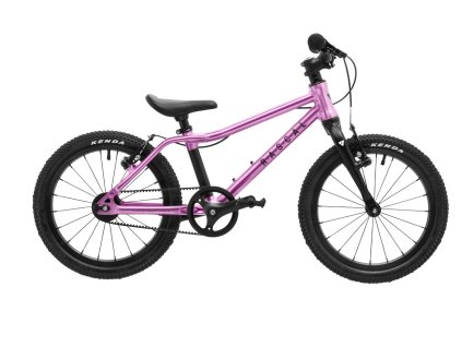 Rascal 16 Raspberry