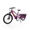 Yuba Bikes Studio SpicyCurry VeryBerry 3 4Frontview Web(2)
