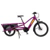 Transparent Yuba Bikes Studio SpicyCurry VeryBerry SideviewR