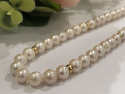 WhatsApp Image 2025 07 12 at 15.42.40