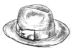 Panamský klobouk