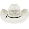 S23BGE Bailey Western Flagstaff Western Ivory 4