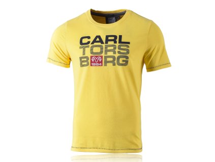 ts29179 yellow front