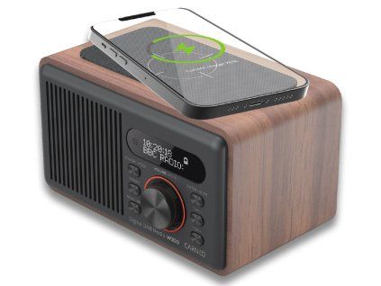 655 4 radio w100 3