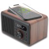 655 3 radio w100 2