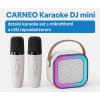 1234 carneo karaoke dj mini 1