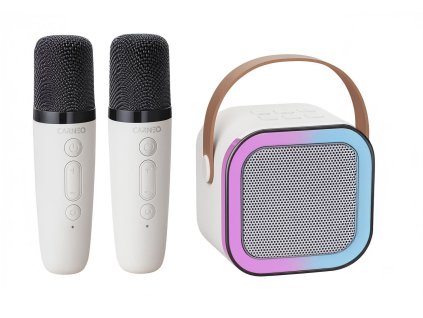 Carneo Karaoke DJ mini 1